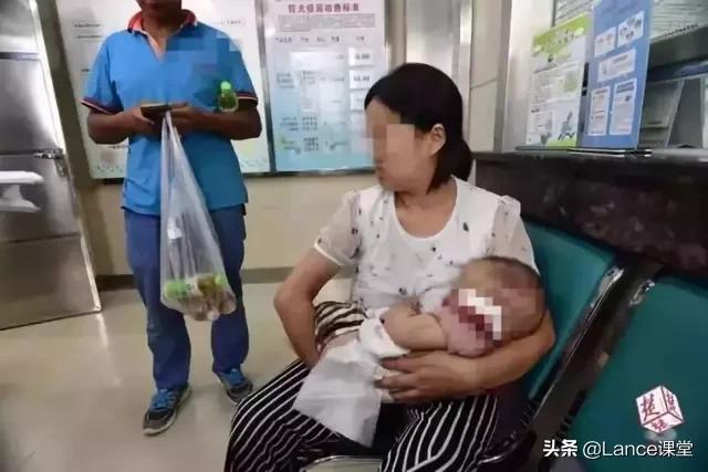 宠物伤人事件频发！恶犬咬死孩童，专家：应立法禁养