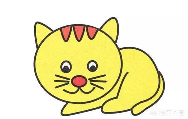 宠物界网红！猫咪会画画，画作拍卖价破十万