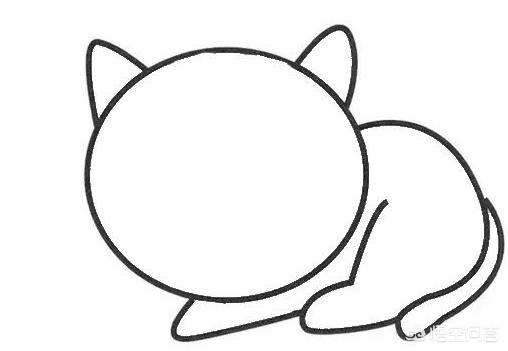 宠物界网红！猫咪会画画，画作拍卖价破十万