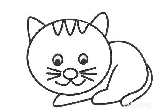 宠物界网红！猫咪会画画，画作拍卖价破十万