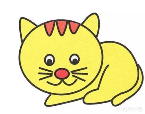 宠物界网红！猫咪会画画，画作拍卖价破十万