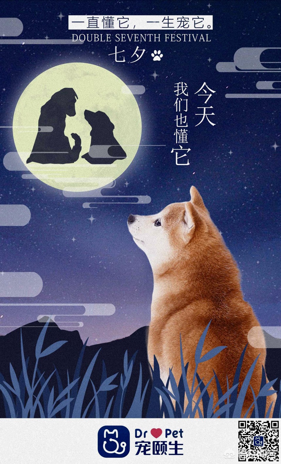 流浪动物治理难题！城市流浪狗超百万，捕杀引发争议